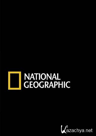 National Geographic.    / National Geographic. Buffalo Warrior (2007) SATRip