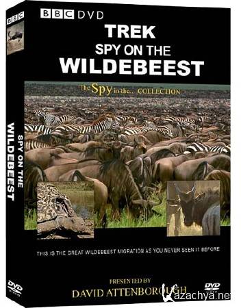 BBC.  :     / BBC. Trek: Spy on the Wildebeest [01-02  02 ] (2007) HDTVRip-AVC