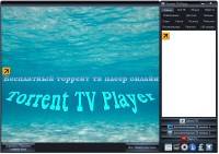 Torrent TV Player 2.1 Final (2013/Rus)