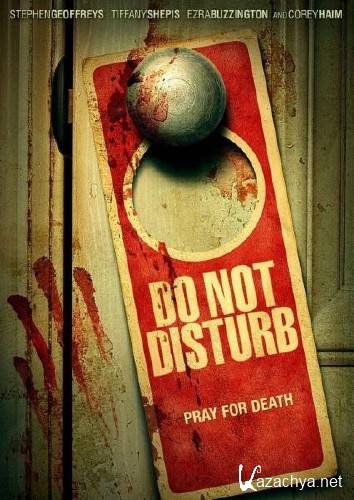   / Do Not Disturb (2013/WEBRip)