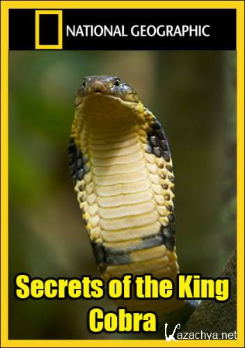    / Secrets of the King Cobra (2009) HDTV 1080i