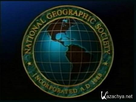 National Geographic   / National Geographic  Gorilla (1981) DVDRip