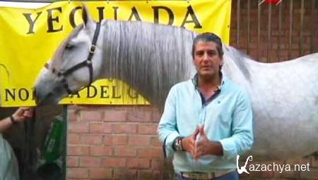  / A caballo (2012) SATRip 