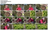 ��������� ��� ����������� (2013)