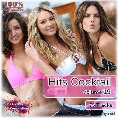 Hits Cocktail - Vol. 19 (2013)