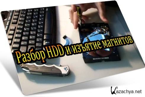  HDD    (2013) DVDRip
