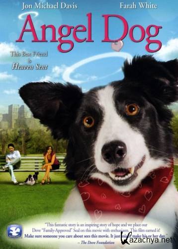  - - / Angel Dog (2011) DVDRip