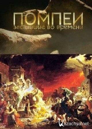 BBC. ,    / BBC. Pompeii: The Mystery of the People Frozen in Time (2013) SATRip