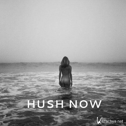 Sunny Levine - Hush Now  (2013)