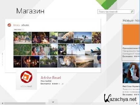 Windows 8.1 Professional x64  Lite v.1.1 by Alexandr987 (RUS/2013)