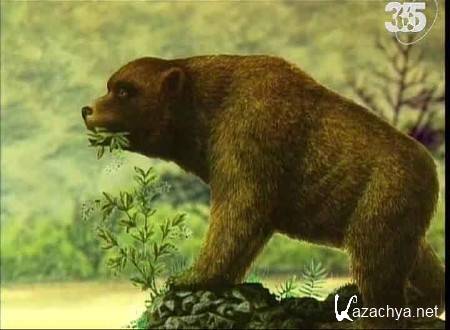 .    / Archaeology. The Search for Neanderthal (1992) SATRip 