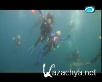 ������ (2013) DVB