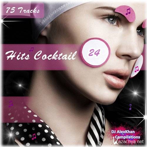 Hits Cocktail - Vol. 24 (2013)