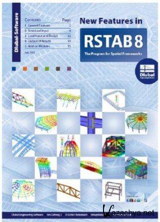 Dlubal RSTAB v8.01.0022 x86+64 (2013/Rus/Eng)