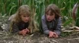 ���� �������� / Children of the Corn (1984/HDRip/BDRip-AVC/BDRip 720p)