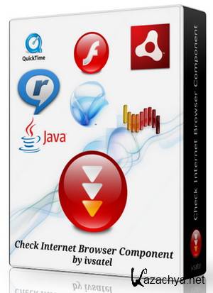 Check Internet Browser Component 1.0.1.51 (2013) PC