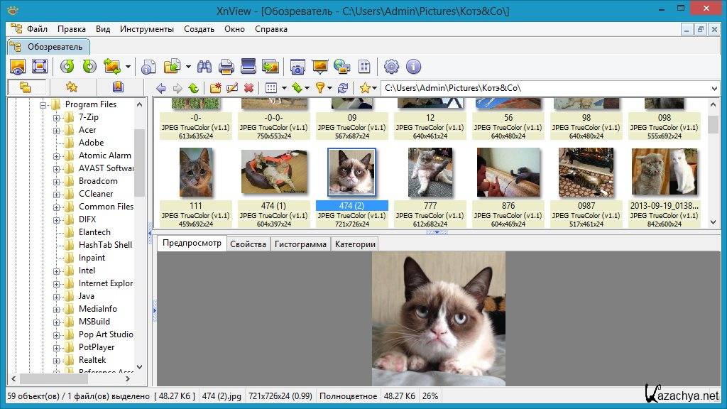 Бесплатные программы ру. XNVIEW версия 2.39 Интерфейс. XNVIEW 2.50.2 complete. XNSOFT.