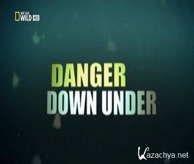 NG. -:   / Monster fish: Danger down under (2010) HDTVRip
