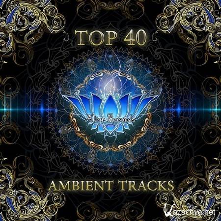 Top 40 Ambient Tracks (2013)