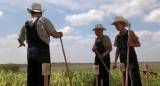   / Secondhand Lions (2003/HDRip/BDRip/HDRip-AVC/BDRip-AVC/BDRip 720p)