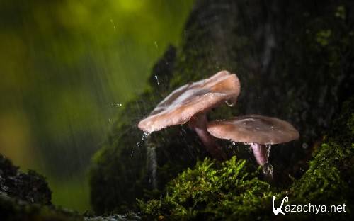 Best HD Wallpapers Pack �1145