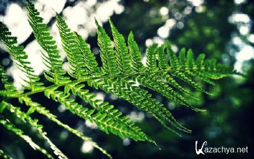 Best HD Wallpapers Pack �1147