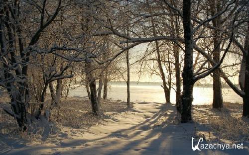 Подборка фото красивой зимней природы 16 Подборка фото красивой зимней природы 16