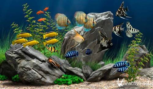 Dream Aquarium Screensaver 2.0.0.43 RePack -     