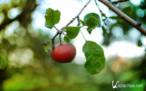 Best HD Wallpapers Pack №1151 Best HD Wallpapers Pack №1151