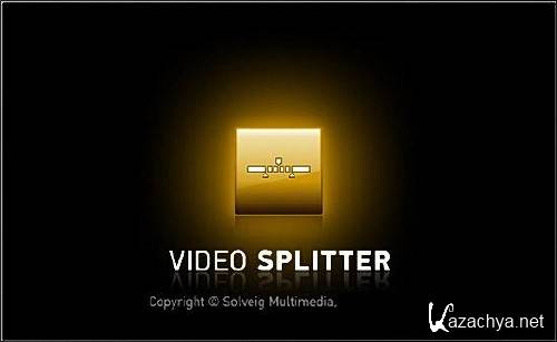 SolveigMM Video Splitter Business Edition 4.0.1401.28 Final (2014)