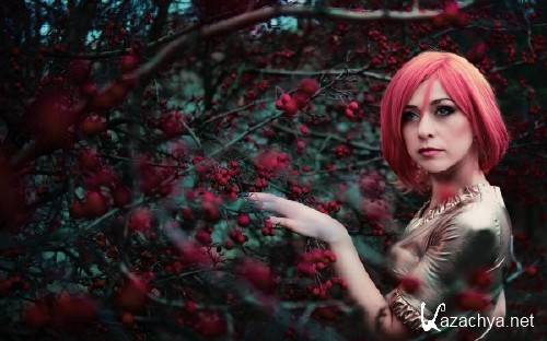 Best HD Wallpapers Pack �1164