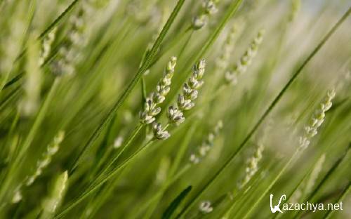 Best HD Wallpapers Pack �1164