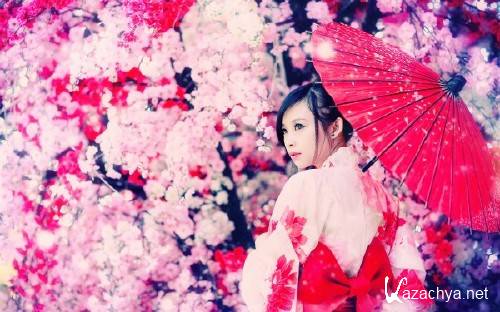 Best HD Wallpapers Pack №1167 Best HD Wallpapers Pack №1167