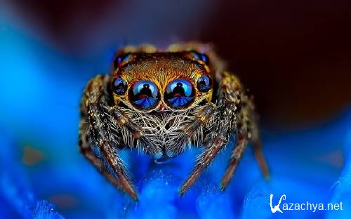 Best HD Wallpapers Pack №1167 Best HD Wallpapers Pack №1167