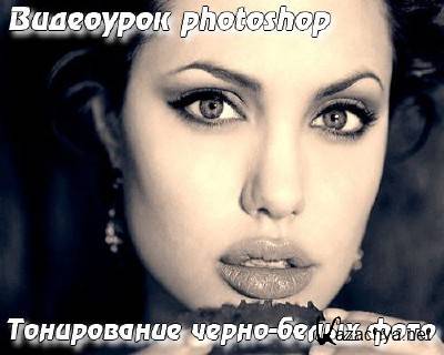  photoshop.  -  (2013)