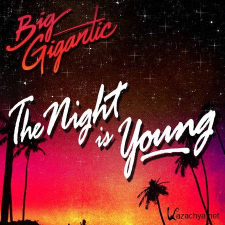 Big Gigantic - The Night Is Young (2014)