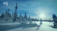  ()  / Wildest Arctic (2012 / 4   4) HDTVRip