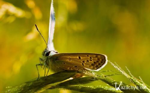 Best HD Wallpapers Pack �1179