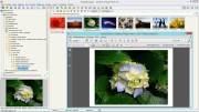 FastStone Image Viewer 5.0 RePack & Portable by KpoJIuK (2014)
