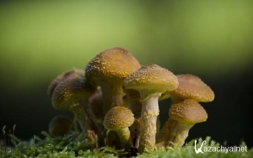 Best HD Wallpapers Pack �1184