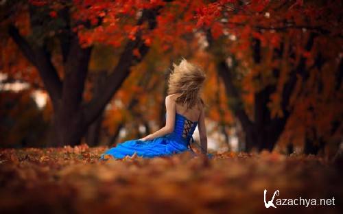 Best HD Wallpapers Pack �1184