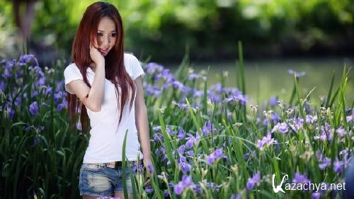 Best HD Wallpapers Pack �1190