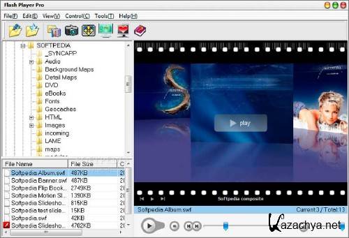 Flash Player Pro 5.86 -  