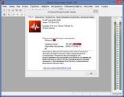 Sony Sound Forge Audio Studio 10.0 Build 252 Final (2014)
