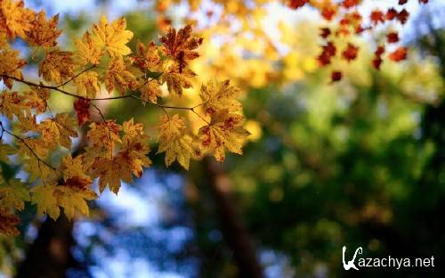 Best HD Wallpapers Pack №1198 Best HD Wallpapers Pack №1198