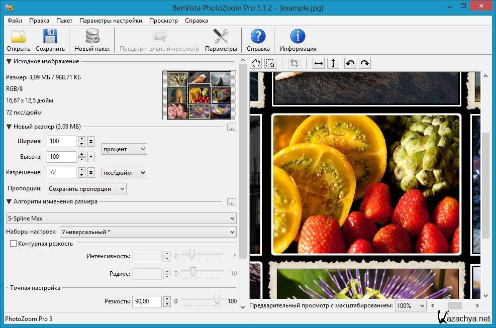 Прочитать файл jpg. PHOTOZOOM Pro 6. Benvista PHOTOZOOM Pro. Jpeg пример файла.