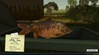 Carp Fishing Simulator v1.5