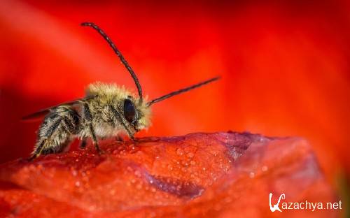 Best HD Wallpapers Pack �1212