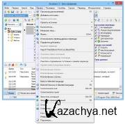Sisulizer Enterprise Edition 3.0 Build 344 (2014)
