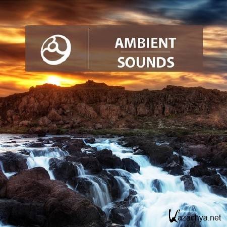 Ambient Sounds (2014)